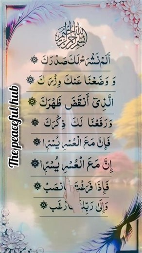 Alam Nashrah (Surah Al-Inshirah) — Heart Soothing Quran Recitation#quran #islam #shorts