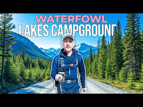 Waterfowl Lakes Campground : Everything you need to know | Camping Banff National Park Alberta
