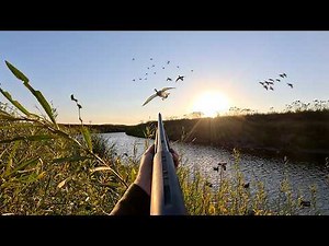 TINY Creek SMASH (30 Mallards) Duck Hunting 2025