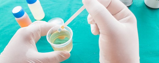 Que sont les Cétones et sont-elles Dangereuses ?