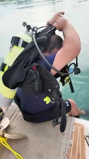 13K views · 205 reactions | Sailing Zatara on Reels | Facebook