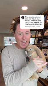 My rabbits cost one thousand dollars each, so imagine telling me how to run my breeding program. I do not care about ARBA standards or traditional meat rabbit standards. I am making ideal pets with an ideal temperament. I am not interested in breeding animals to sit in cages just to meet arbitrary criteria. | Rabbit Pals