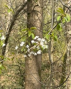 Ruby Granger 🍂 on Instagram: "moments from this week 🥕"