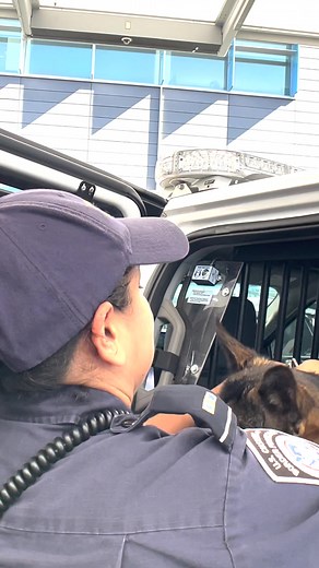 A day in the life of CBP K9 "Gifford" | CBP Office of Field Operations