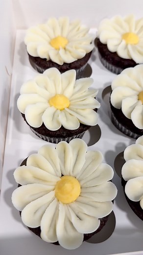 Pretty little cupcakes. • • • #cupcakes #floralcupcakes #308sweetlane #chicagobaker #assyrianownedbusiness #dessert #birthdaycake #chicagonorthshore #cupcakesofinstagram | 308 Sweet Lane