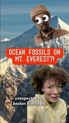 How did ocean invertebrates end up on Mt. Everest?!