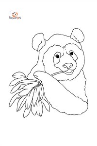 Coloring Page - A Panda is Eating Bamboo Leaves ♥ Online for Free!