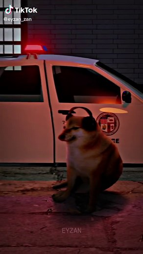 af1 🔥✨🎧 #doge #music | af 1 instrumental