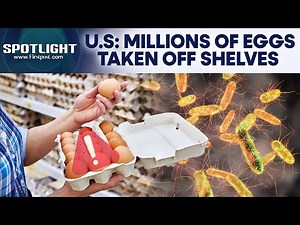 Over 6 Million Eggs Recalled In The US Over Salmonella Contamination Scare | Spotlight | N18G