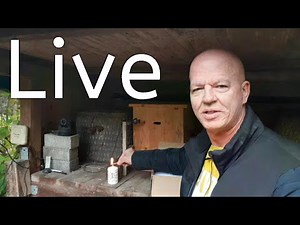 Live: Schönen ersten Advent - Infos zum Bienenbaum - Wünsche von Nordbiene