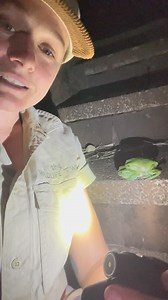 142 reactions · 5 comments | Green tree frogs and surface area?...