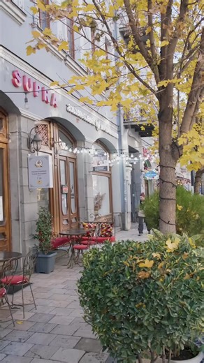 Indulge in Authentic Turkish Cuisine at Supra Restaurant