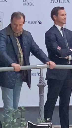 Oups 😂 #chigeneve #foryoupage #pourtoi #equestrian