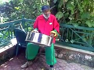 Dolphin Cove - Steel Drum Entertainment
