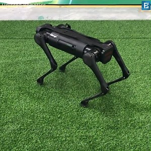 880K views · 731 reactions | I can't decide if this Robot dog is cute or terrifying! 烙 | Fossbytes | Facebook