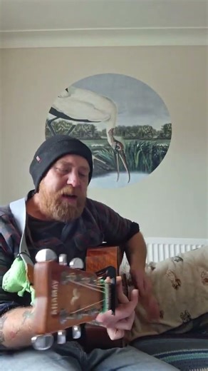 Mrs Potter's Lullaby - Counting Crows cover from my live stream #acousticcover #guitar