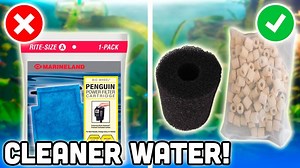 6K views · 112 reactions | In this video I show you how to optimize your aquarium filter to increase biological and mechanical filtration. By using an intake sponge and more biological media inside the filter we can save ourselves a lot of money over time. | Aquarium Co-Op | Facebook