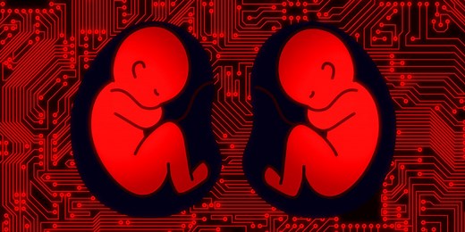 A Chinese scientist claims to have genetically engineered babies. Here's what editing DNA means.