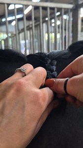 39K views · 202 reactions | 瑱 Plaiting 瑱 I can not wait to be plaiting this mane again next weekend  I will be showcasing some new products and look forward to the new collaboration I have coming up! #horsefyp #horsesreels #equineinfluencer #equinegroom #turnouttips #horsebarber #equineblogger #fyp #asmr #horseshow #collaboration #horsebraids | Prestige Equine | Facebook