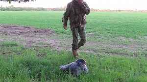 15K views · 268 reactions | This was our first hunt in Oklahoma and it was awesome all three toms came in ready to fight the mobo gobbler!!! Please continue to like and share my videos i am still giving away 10 mobo gobblers this turkey season | Mobo Gobbler | Facebook