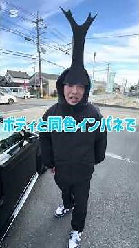 【車紹介】フォルクスワーゲン ザ・ビートルの良いところ５選 #shorts #short #ワーゲン #ビートル