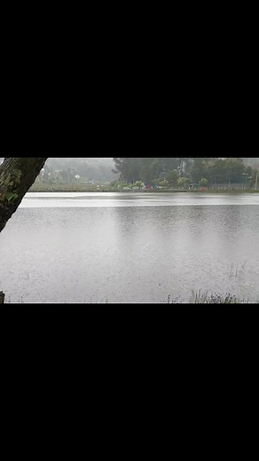 மாலை வேளையில் சாரல்மழையோடு கொடைக்கானல் ஏரி.... | Pringly