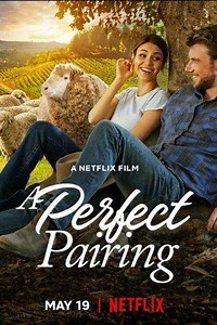 A Perfect Pairing (2022) - Movie