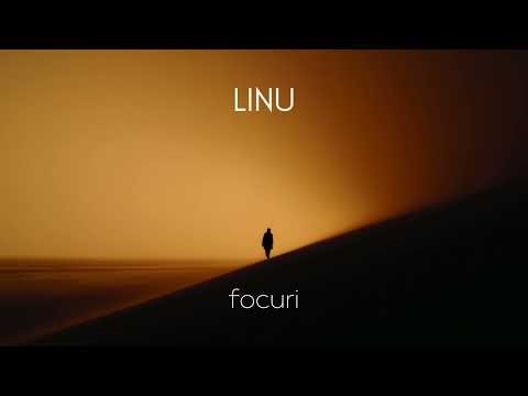 LINU - focuri | Official Audio