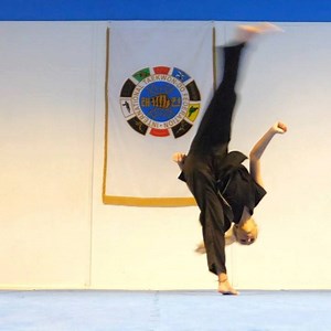 2.4K views · 66 reactions | New Windmill Kick Tutorial Now Up!  Full Video Link in My Bio or On My Story  Lauren Edmunds #teamgnt #gnt #gingerninjatrickster #martialarts #taekwondo #kickboxing #kicks #kicking #kick #flip #flips #training #tricking #stunt #stunts #fun #windmill #windmillkick #tutoria | Ginger Ninja Trickster | Facebook