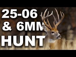 25-06 & 6mm Deer Hunt