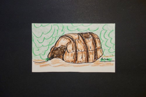 Let's Draw an Algonquian Mat / Bark Wigwam!