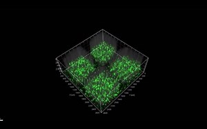 基于协同增强效应，包裹GelMA水凝胶的支架3D细胞培养