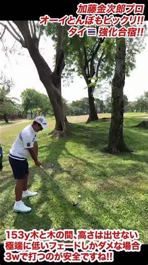 【異次元】15歳 加藤金次郎プロ史上最年少プロのスイング‼️タイ強化合宿 #ゴルフ#golf#ゴルフレッスン#ゴルフ女子#ゴルフスイング#thailand#プロゴルファー