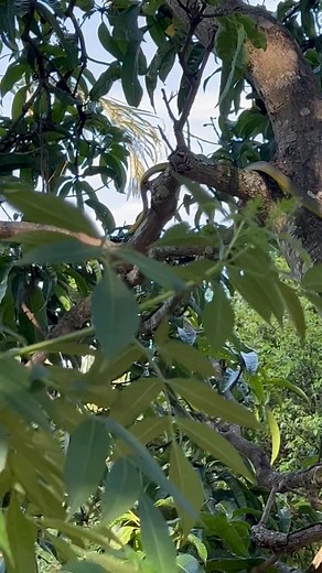 Haven’t seen this guy for a while… | Johnny Collins