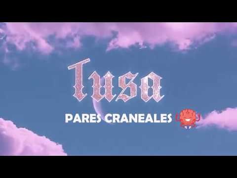TUSA- Pares craneales(Letra)
