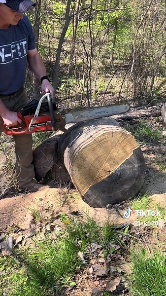 Unleash Epic Power with the Dolmar 120 Chainsaw 🔥