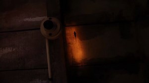 8.7K views · 348 reactions | From his home in Greater London, Butterfly Conservation's Malcolm Hull has unearthed a previously unknown behaviour of the beloved Small Tortoiseshell, a butterfly in steep decline since 1976. #Winterwatch Find out more: butrfli.es/SmallTortLostGen BBC Springwatch Butterfly Conservation - Herts & Middlesex | Butterfly Conservation | Facebook