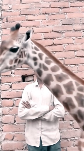 tutorial # Giraffe# goof# filter 🤩💀# giraffe