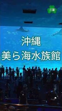 沖縄美ら海水族館#沖縄美ら海水族館 #沖繩旅行