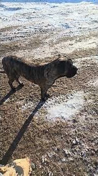 Brock waiting for Daisy