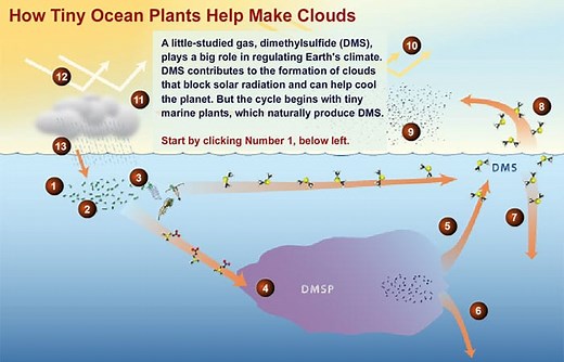 DMS: The Climate Gas You’ve Never Heard Of