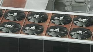 11K views · 35 reactions | Don't miss the amazing Fara at the Lemon Tree on Thursday 30 May. The four members of FARA blend all four distinctively different musical voices together, whilst also celebrating the unity of their musical beginnings. https://www.aberdeenperformingarts.com/whats-on/music/fara/1730 | The Lemon Tree | Facebook