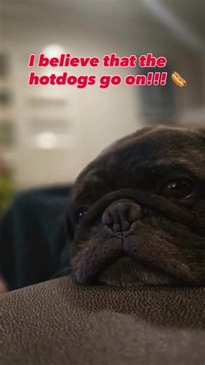 Turns out the lyrics weren’t “that” at all… but I will continue singing it wrong out of spite. #MisheardLyrics #musictok #pov #tellmeimnotalone #comedy