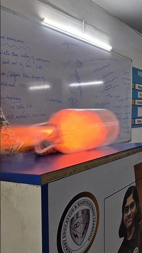 Newton's 3rd Law of Motion Physics Experiment! 🔥 #Newton #Law #Motion #Physics #Experiment