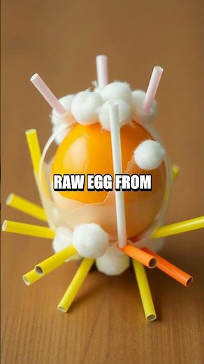 The Incredible Egg Drop Challenge