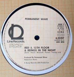 Permanent Wave – Permanent Wave (Vinyl)