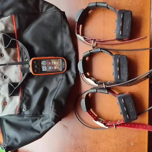 alpha 100 and tt15 collar #pet #collar #tracker #garnin #tracker #alpha #tractivegps #dogtracking #gps #collars