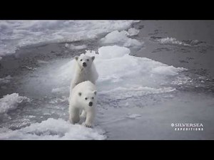 Silversea Expeditions - Insight Into the Arctic