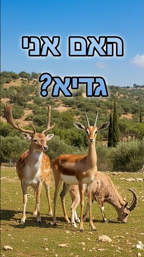 מי באמת חד גדיא? פסח בטבע הישראלי #טיולים #ישראל #טבע