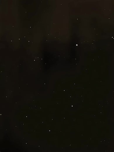 Năm mới vui vẻ: Celebrate with Code Name Anastasia